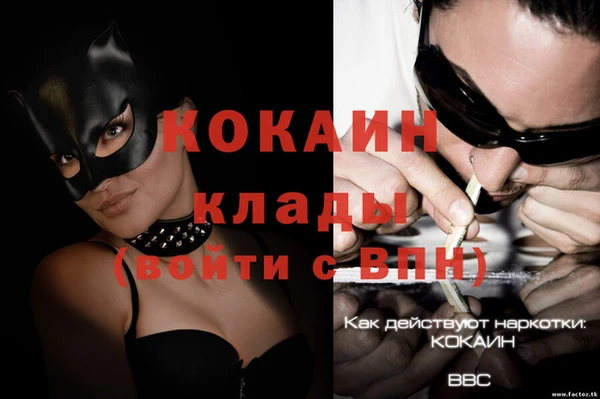 прущие крисы Беломорск