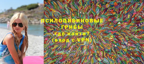 PSILOCYBIN Белоозёрский