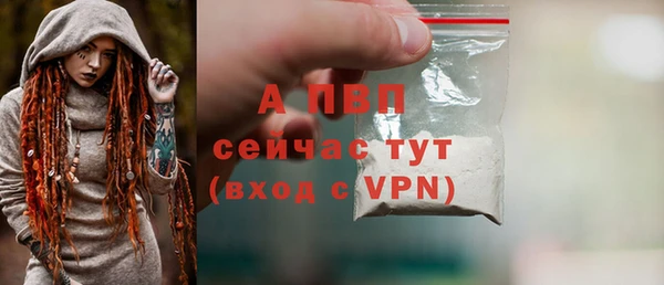 PSILOCYBIN Белоозёрский