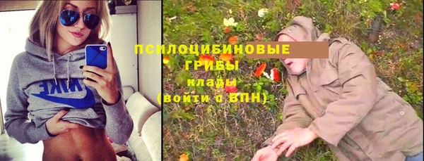 прущие крисы Беломорск