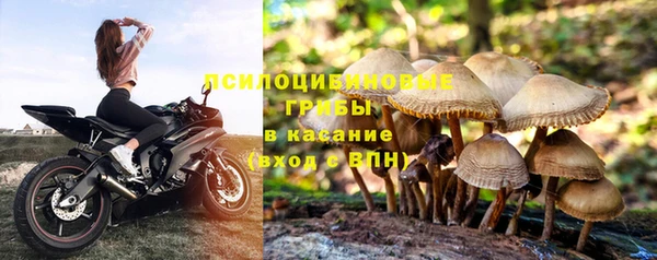 PSILOCYBIN Белоозёрский