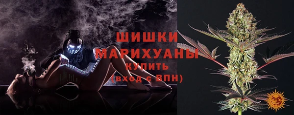 тгк Белокуриха