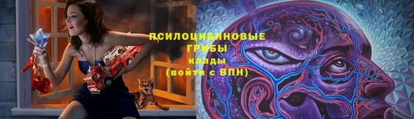 прущие крисы Беломорск