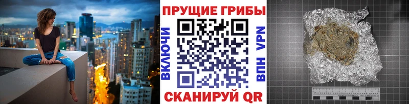 Псилоцибиновые грибы прущие грибы  закладки  Гудермес 