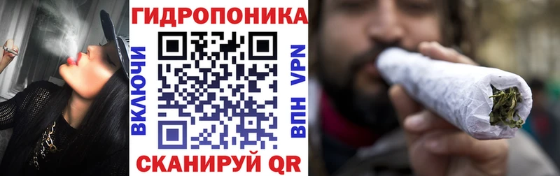 Бошки Шишки сатива  где можно купить   Гудермес 